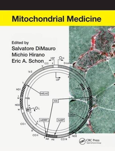 Mitochondrial Medicine (Paperback, 1)