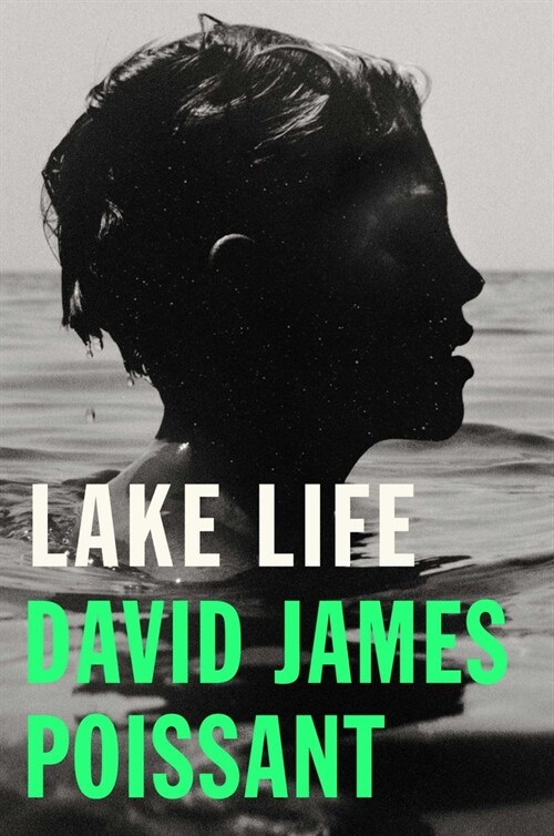 Lake Life (Hardcover)