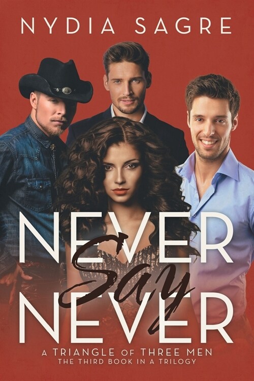 Never Say Never: A Triangle of Three Men The Third book in a Trilogy (Paperback)