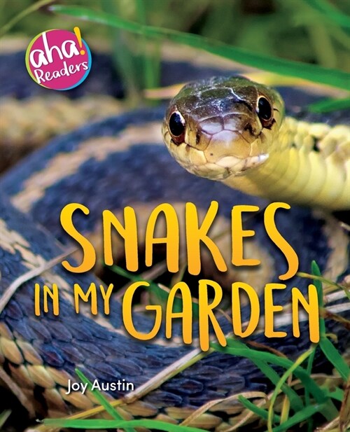 Snakes in My Garden (Paperback)