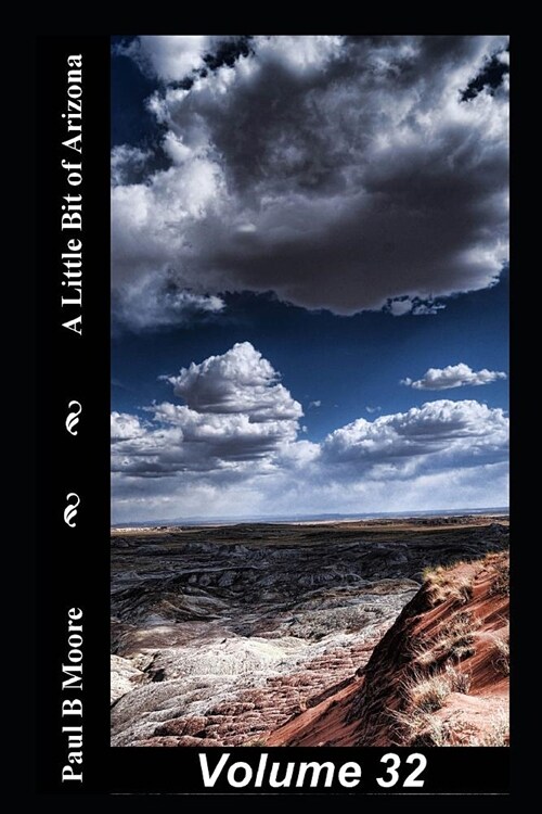 A Little Bit of Arizona: Volume 32 (Paperback)