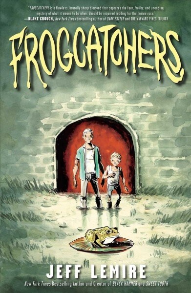 Frogcatchers (Paperback)