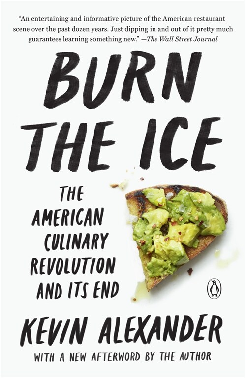 Burn the Ice: The American Culinary Revolution and Its End (Paperback)