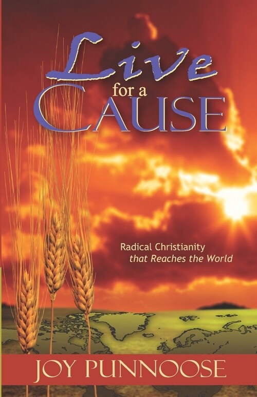 Live for a Cause: Radical Christianity that Reaches the World (Paperback)