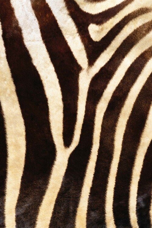 Noteboook: Lined Journal - Zebra Notebook - Notebook Featuring Zebra Fur (Paperback)