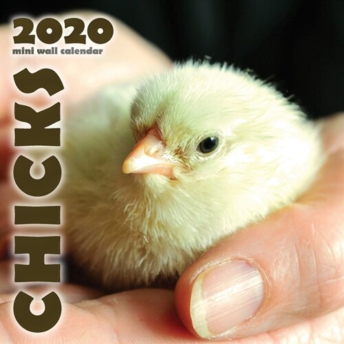 Chicks 2020 Mini Wall Calendar (Paperback)