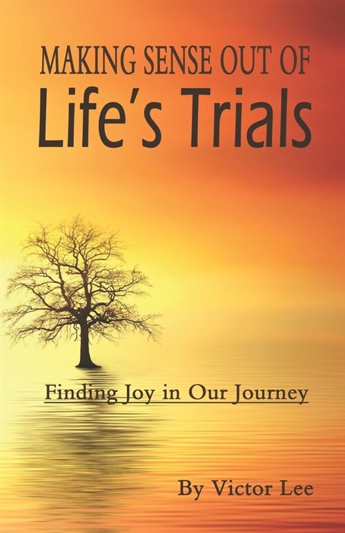 Making Sense Out of LIfes Trials: Finding Joy in Our Journey (Paperback)