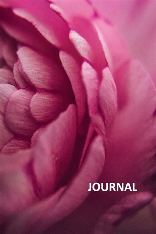 Journal: Pink petals Charming Bullet Journal Dot Grid Daily Planner Student for studying how to become a floriculturist (Paperback)