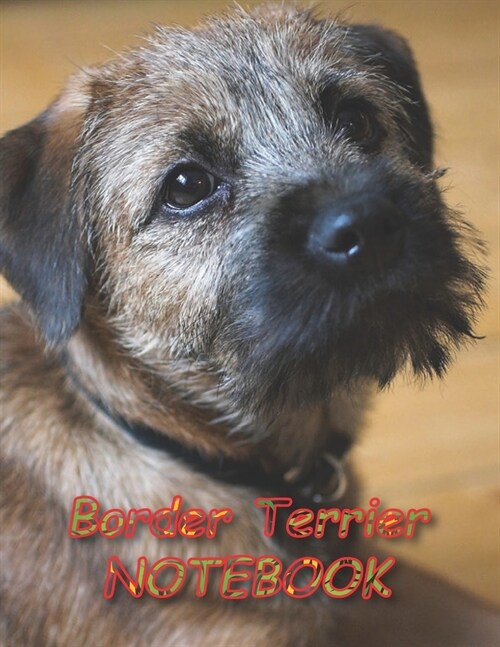 Border Terrier NOTEBOOK: notebooks and journals 110 pages (8.5x11) (Paperback)