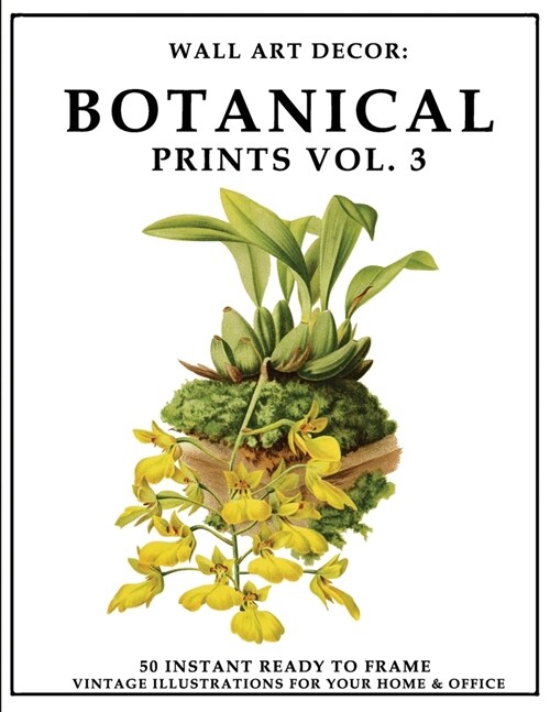 Wall Art Decor: Botanical Prints Vol. 3: 50 Instant Ready to Frame Botanical Illustration Art Prints for Your Home & Office Decor (Paperback)