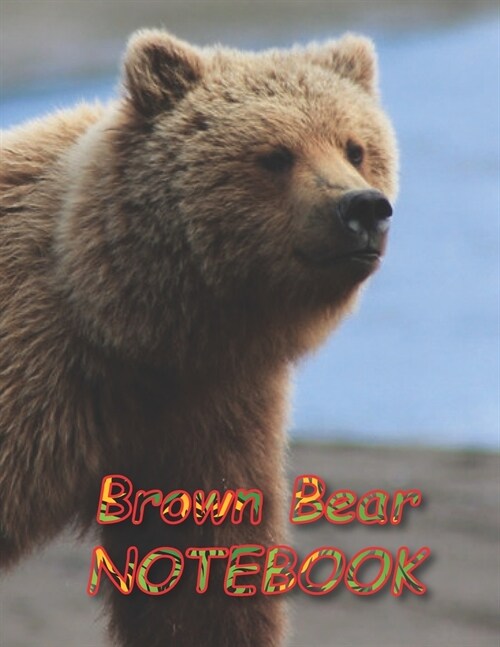Brown Bear NOTEBOOK: Notebooks and Journals 110 pages (8.5x11) (Paperback)