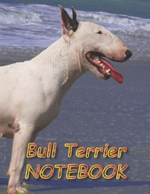 Bull Terrier NOTEBOOK: Notebooks and Journals 110 pages (8.5x11) (Paperback)