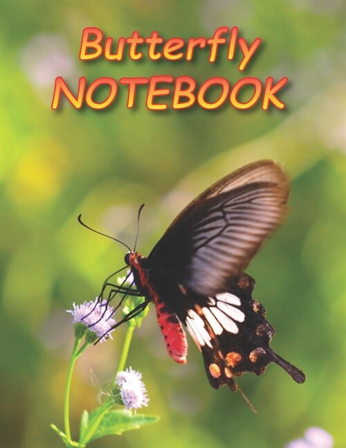 Butterfly NOTEBOOK: Notebooks and Journals 110 pages (8.5x11) (Paperback)