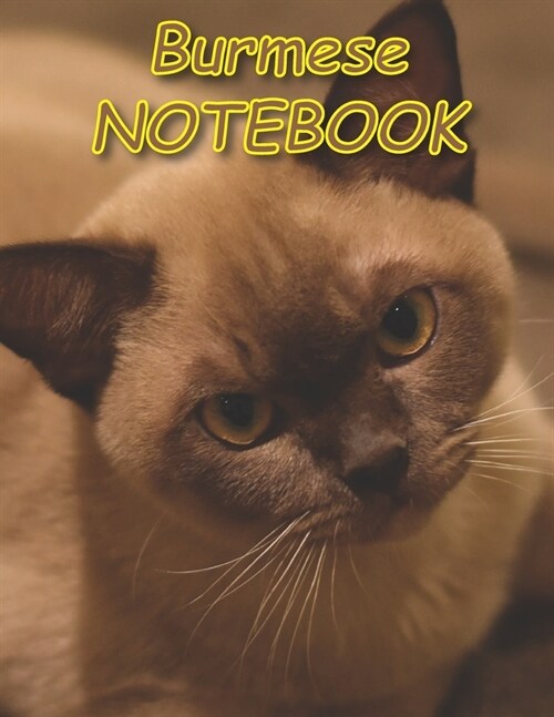 Burmese NOTEBOOK: Notebooks and Journals 110 pages (8.5x11) (Paperback)