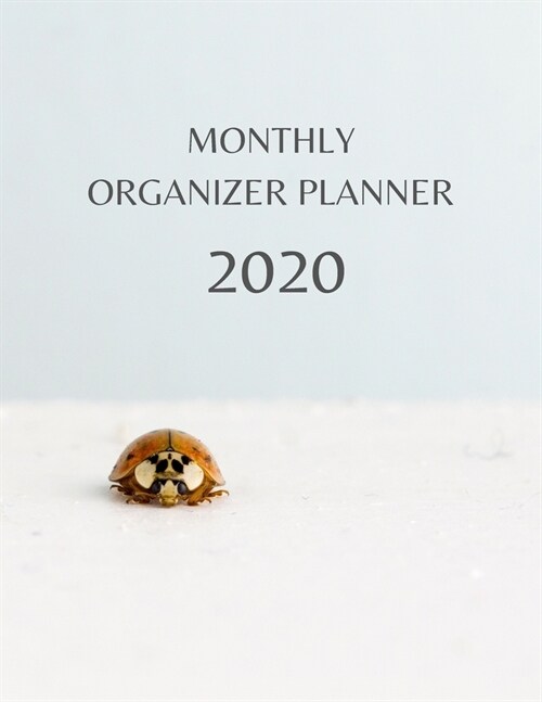 Monthly Organizer Planner: 2020 Year At A Glance Calendar and Organizer (Paperback)