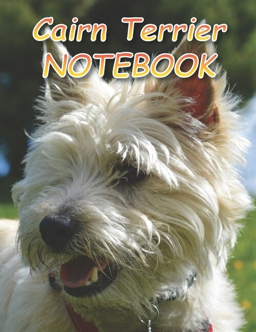 Cairn Terrier NOTEBOOK: Notebooks and Journals 110 pages (8.5x11) (Paperback)
