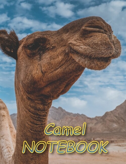 Camel NOTEBOOK: Notebooks and Journals 110 pages (8.5x11) (Paperback)
