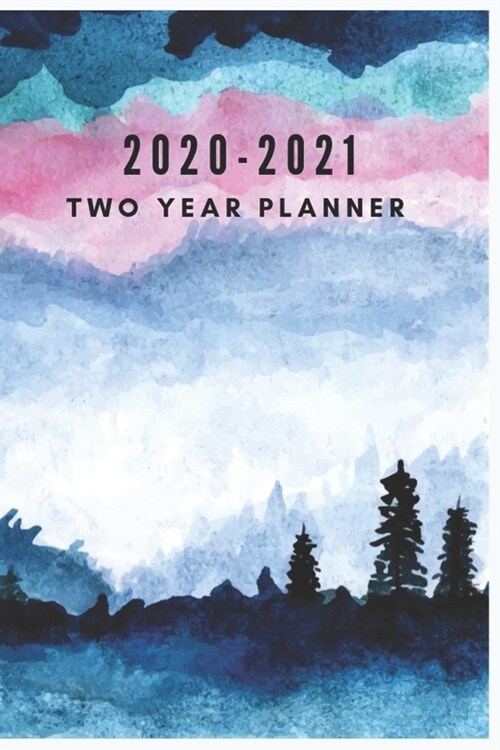 2020-2021 Two Year Planner: Monthly Pocket Planner: 2 Year Monthly Pocket Planner with Phone Book, 6 x 9, Password Log, 24 Months Agenda, Diary, C (Paperback)