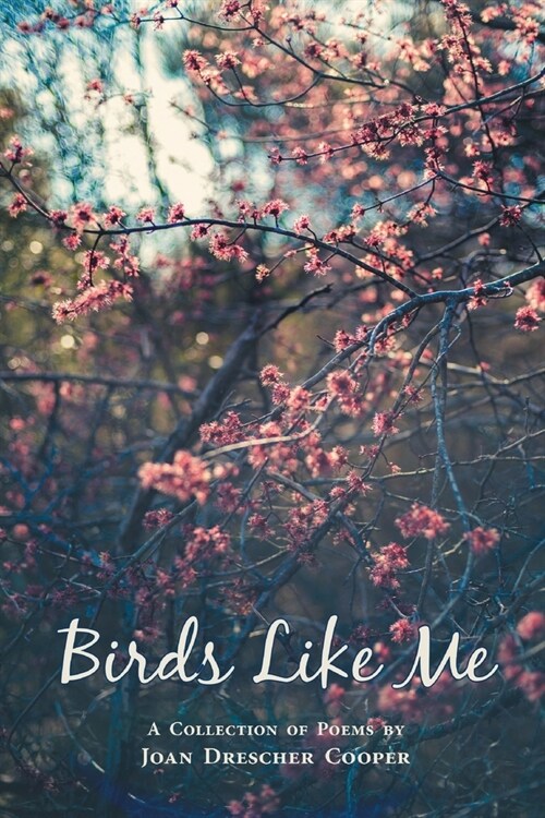 Birds Like Me (Paperback)