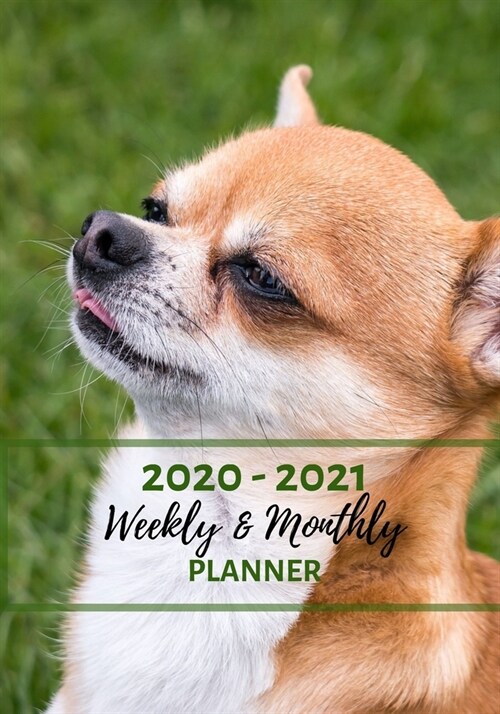 Weekly And Monthly Planner: Organize Your Daily Activities At Home School And Office - Cute Chiwawa Dog (Paperback)