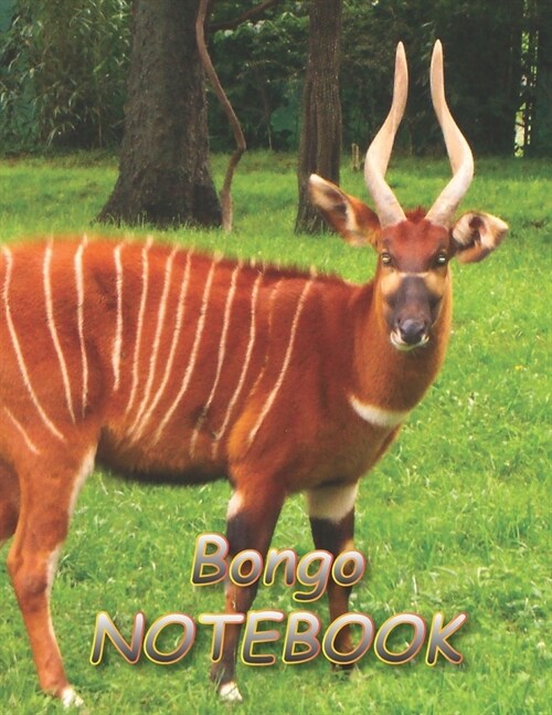 Bongo NOTEBOOK: notebooks and journals 110 pages (8.5x11) (Paperback)