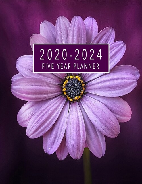 2020-2024 Five Year Planner: 5 Year Monthly Logbook, 60 months Calendar Agenda Schedule Organizer Planner 8.5 x 11 With Holidays (Paperback)