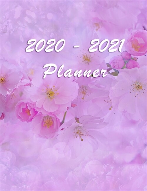 2020 - 2021 Planner: Academic and Student Daily and Monthly Planner - July 2020 - June 2021 - Organizer & Diary - To do list - Notes - Mont (Paperback)