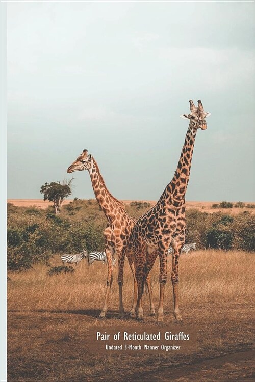 Pair of Reticulated Giraffes Undated 3-Month Planner Organizer: 6x9 Weekly Monthly Calendar and Engagement Book (Paperback)