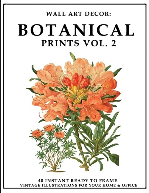 Wall Art Decor: Botanical Prints Vol. 2: 40 Instant Ready to Frame Colorful Botanical Illustration Art Prints for Your Home & Office D (Paperback)