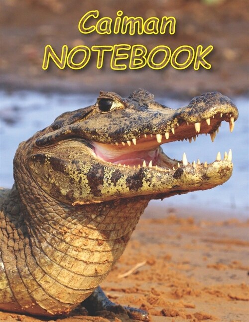 Caiman NOTEBOOK: Notebooks and Journals 110 pages (8.5x11) (Paperback)