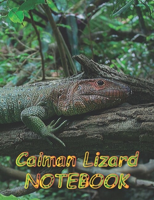 Caiman Lizard NOTEBOOK: Notebooks and Journals 110 pages (8.5x11) (Paperback)