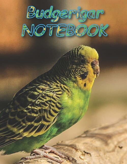 Budgerigar NOTEBOOK: Notebooks and Journals 110 pages (8.5x11) (Paperback)