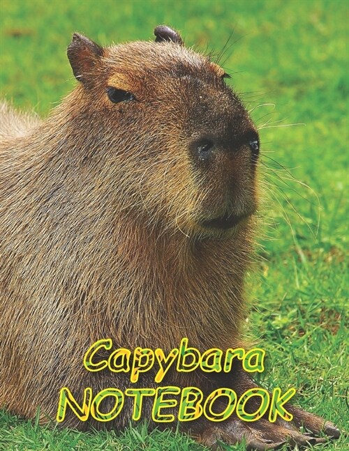Capybara NOTEBOOK: Notebooks and Journals 110 pages (8.5x11) (Paperback)