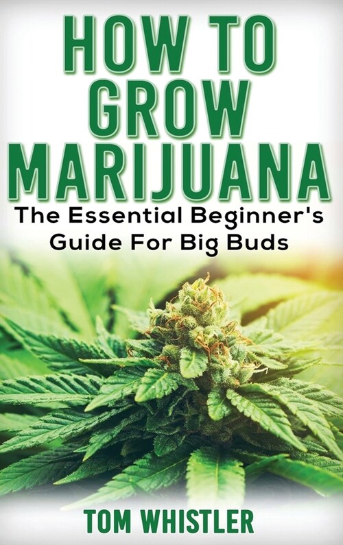 Marijuana: How to Grow Marijuana - The Essential Beginners Guide For Big Buds (Hardcover)