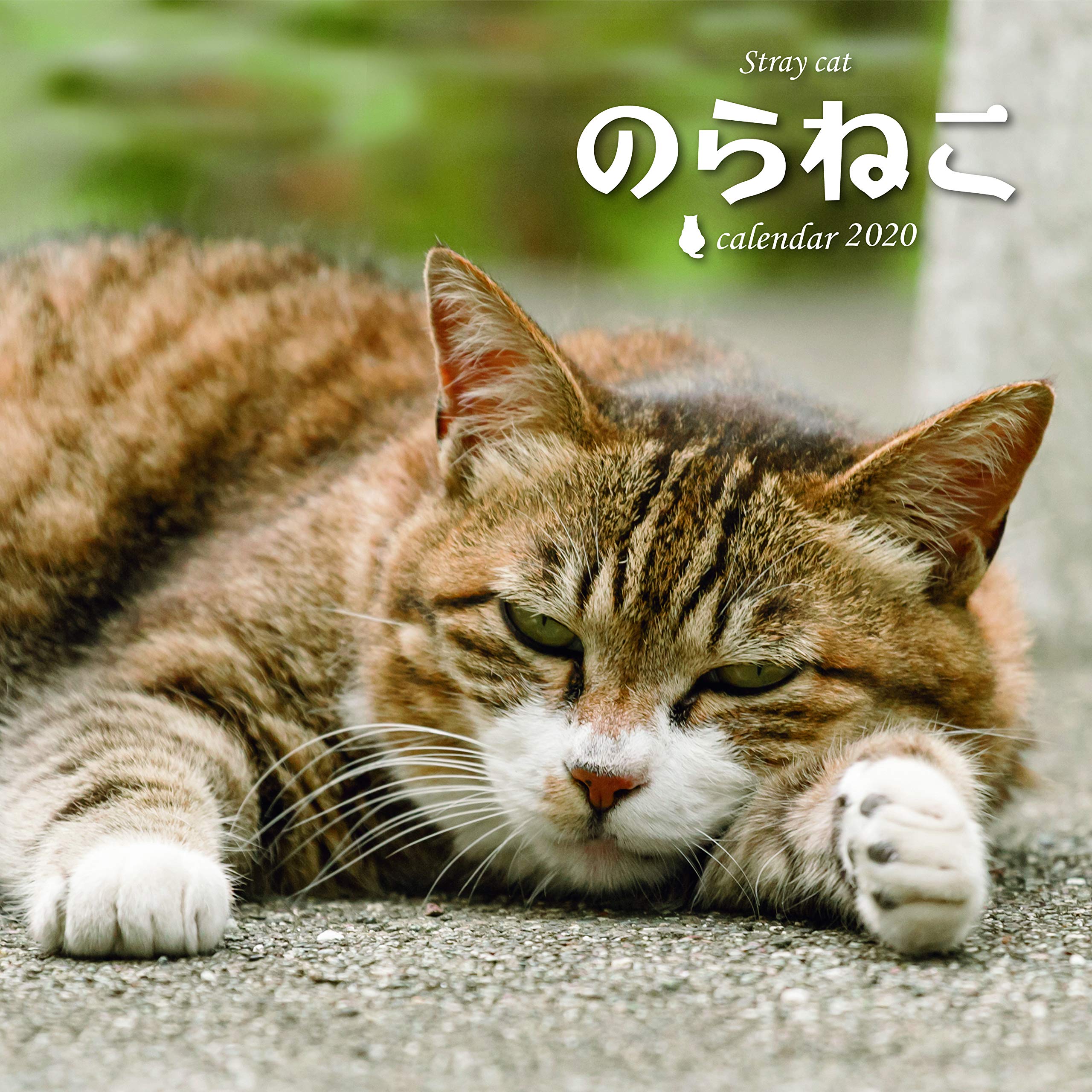 のらねこカレンダ-