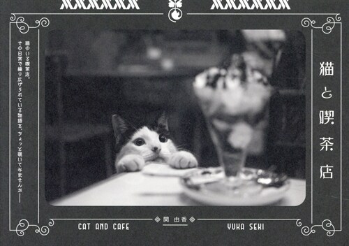 猫と喫茶店