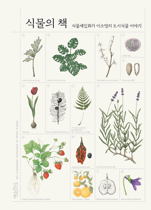 [중고] 식물의 책