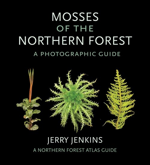 Mosses of the Northern Forest: A Photographic Guide (Paperback)