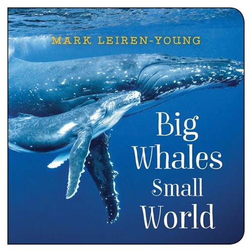 Big Whales, Small World (Board Books)
