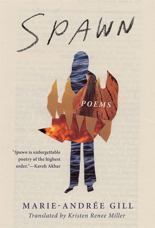 Spawn (Paperback)