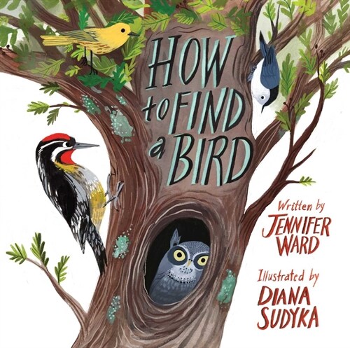 How to Find a Bird (Hardcover)