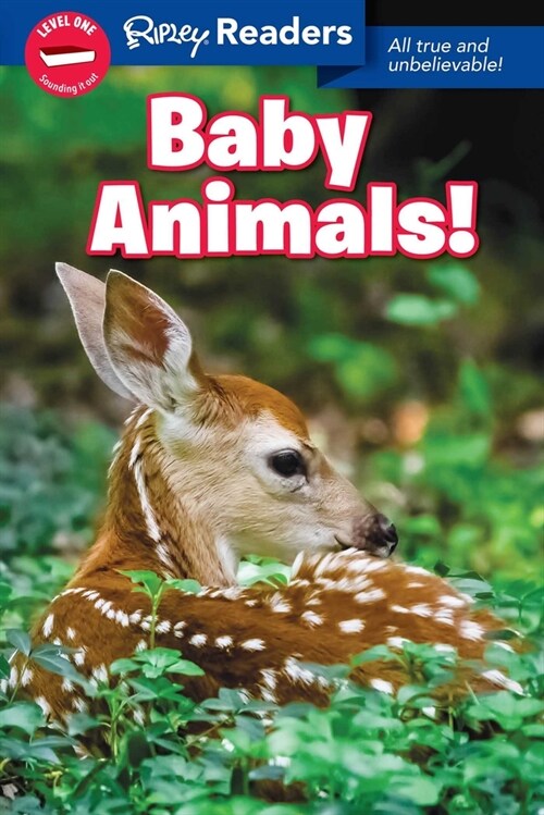 Ripley Readers Level1 Baby Animals (Paperback)