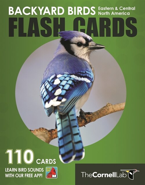 Backyard Birds Flash Cards - Eastern & Central North America (Other)