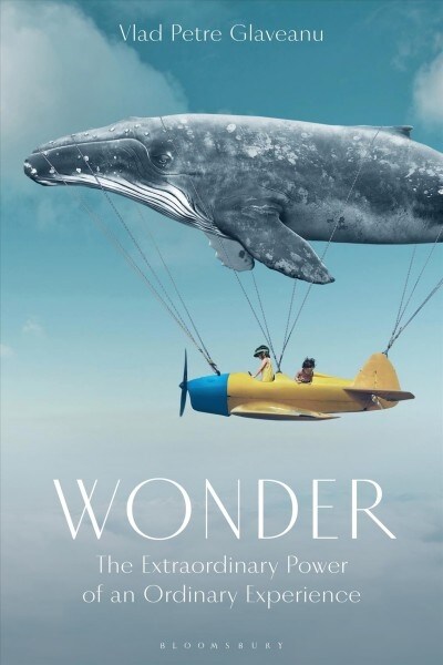 Wonder : The Extraordinary Power of an Ordinary Experience (Hardcover)