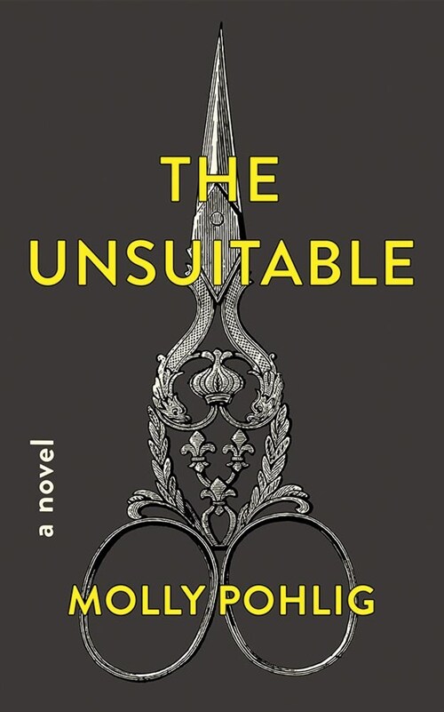 The Unsuitable (Audio CD, Unabridged)