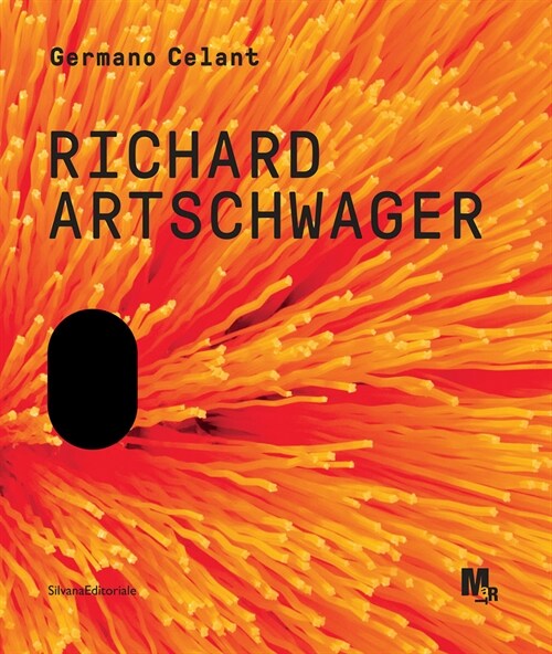 Richard Artschwager (Paperback)
