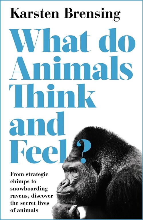 What Do Animals Think and Feel? (Paperback)