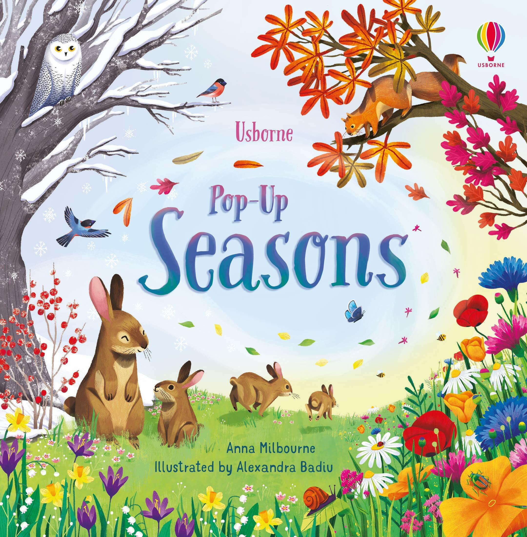 Pop-Up Seasons (Board Book)