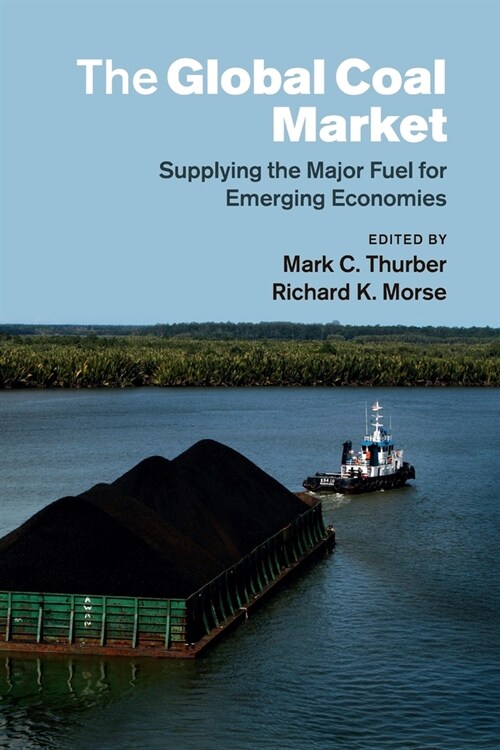 The Global Coal Market : Supplying the Major Fuel for Emerging Economies (Paperback)