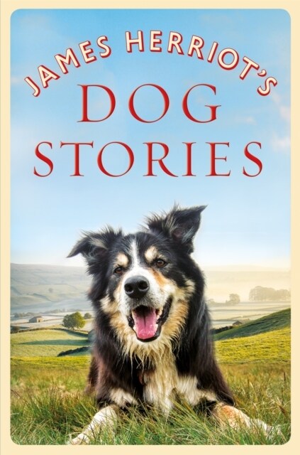 James Herriots Dog Stories (Paperback)